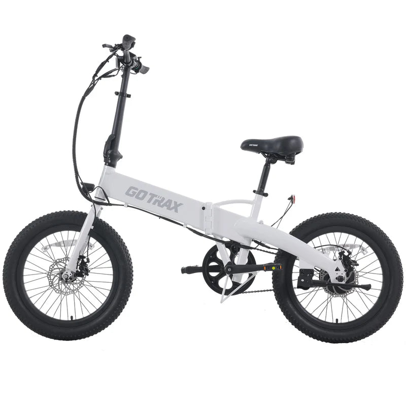 F1 Folding Electric Bike 2.0