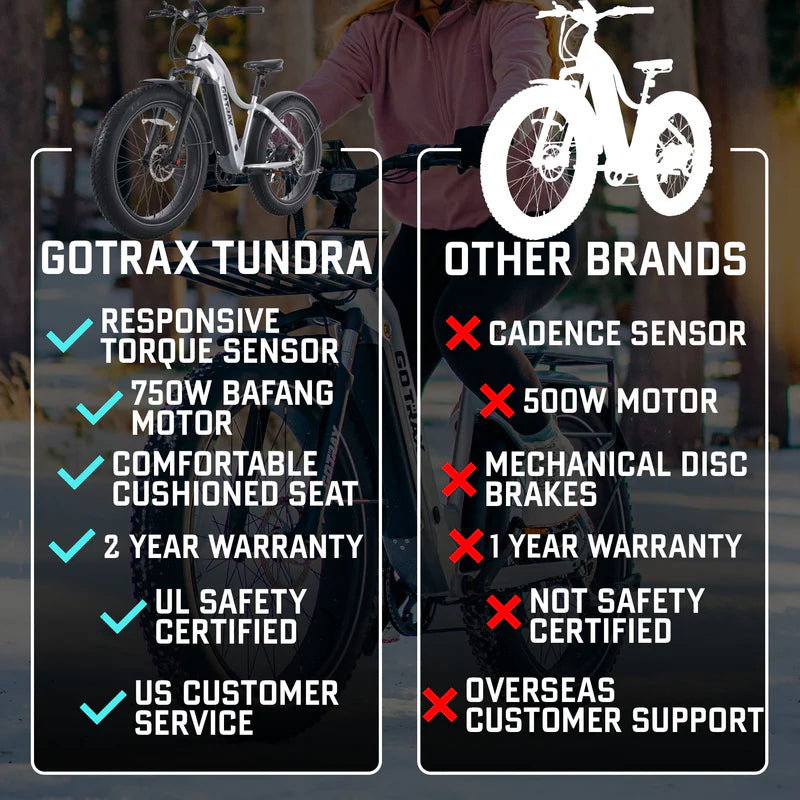 Tundra Fat Tire Electric Bike