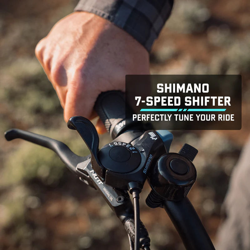 Alpine Fat Tire eBike