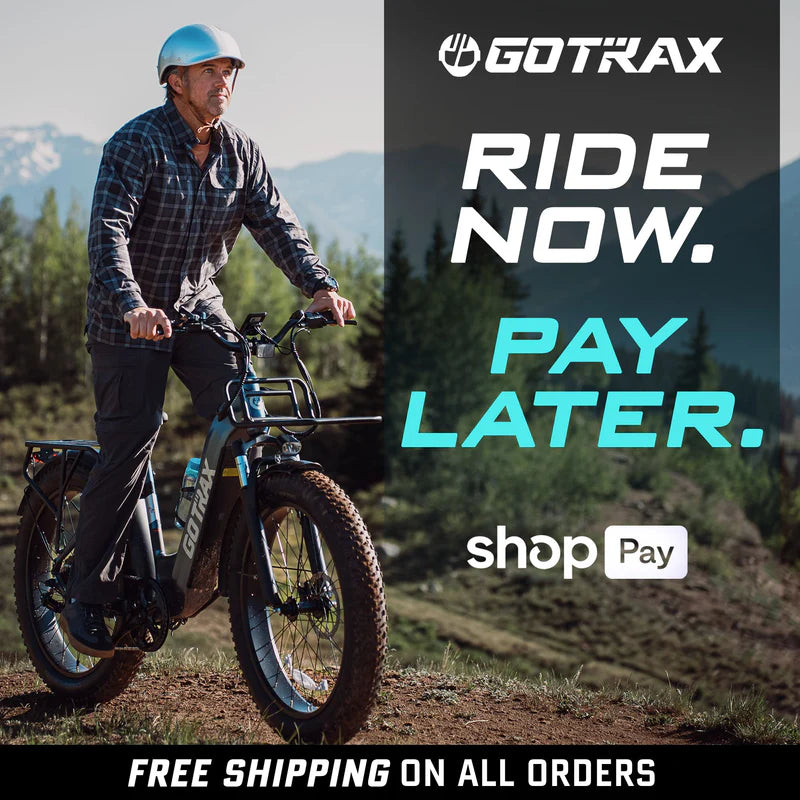 Alpine Fat Tire eBike