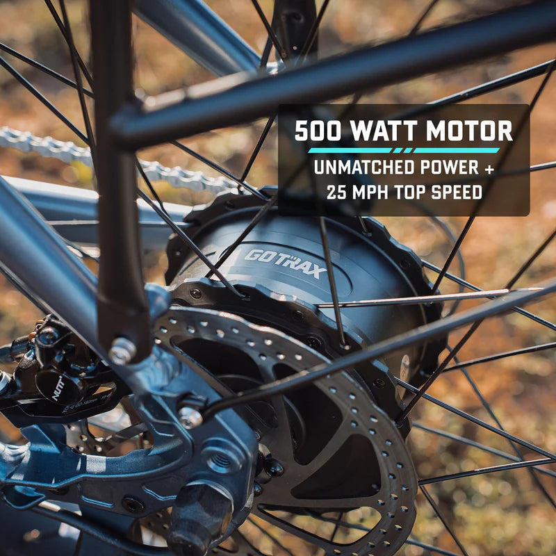 Alpine Fat Tire eBike