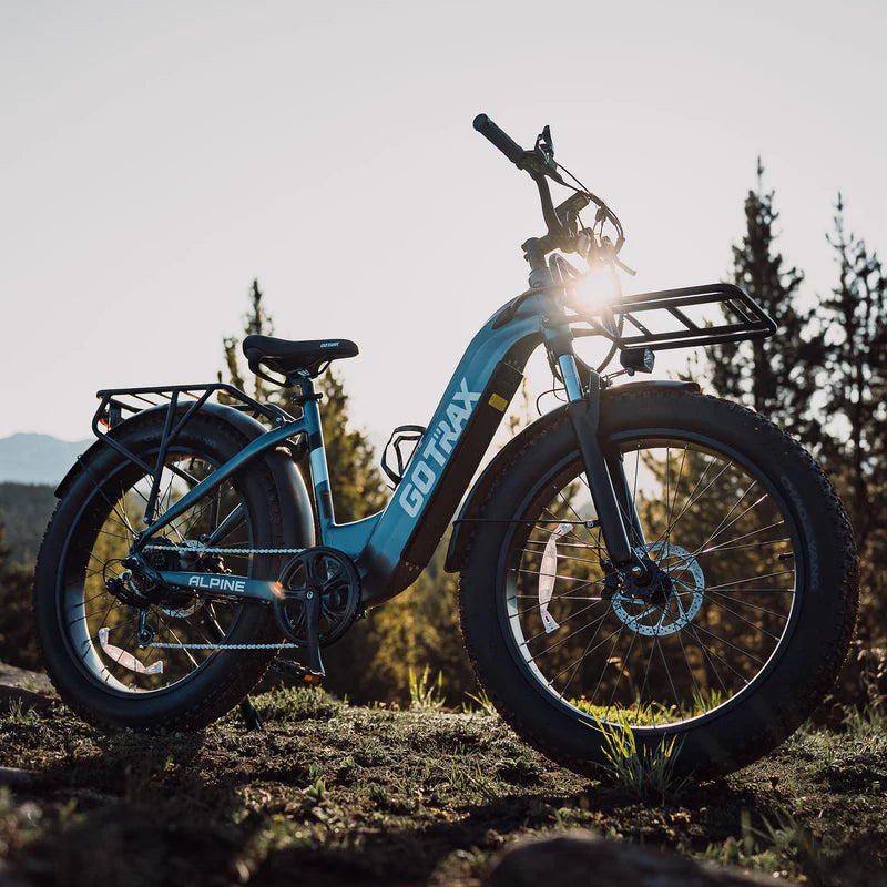 Alpine Fat Tire eBike