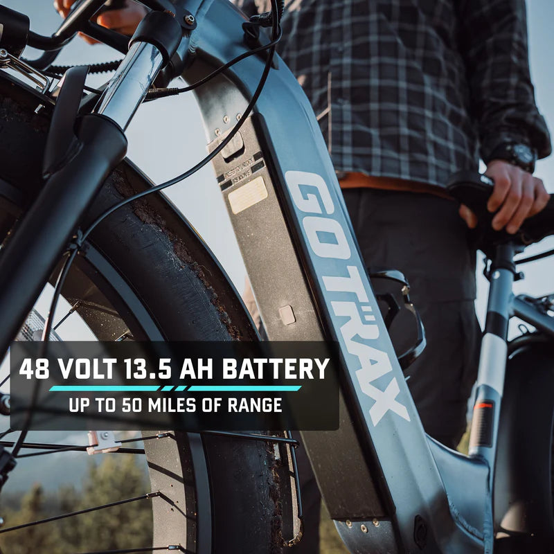 Alpine Fat Tire eBike