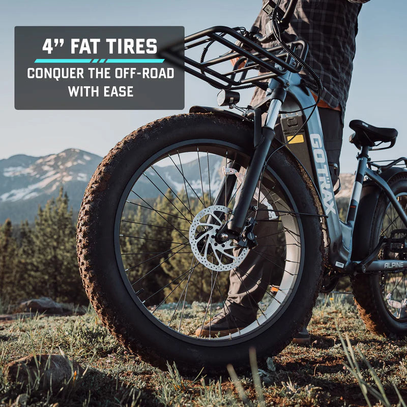 Alpine Fat Tire eBike