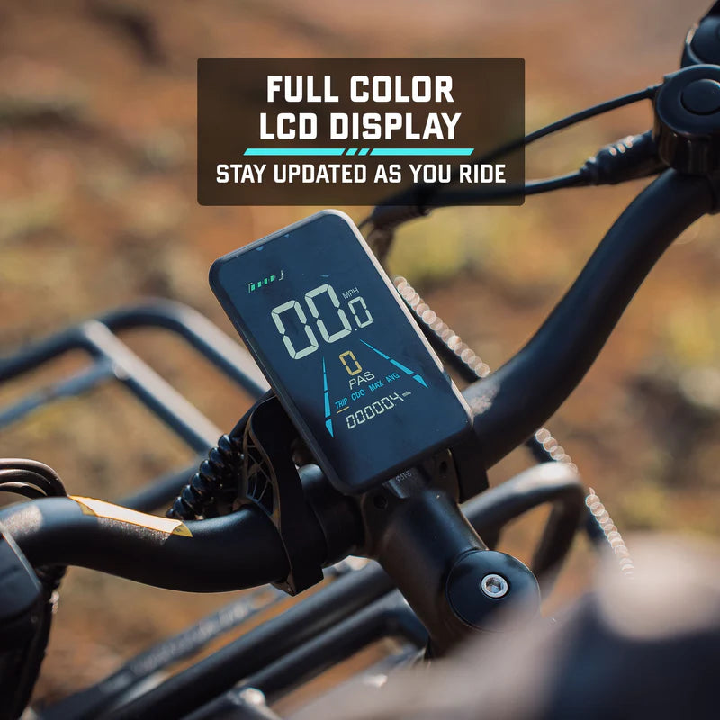 Alpine Fat Tire eBike