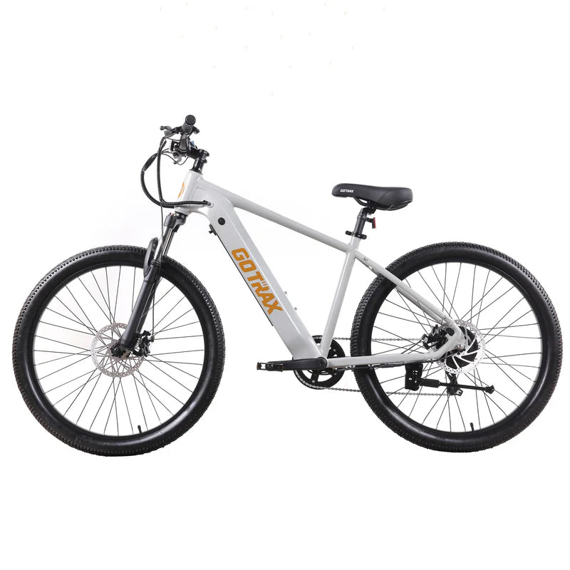 D1RT Electric Mountain Bike