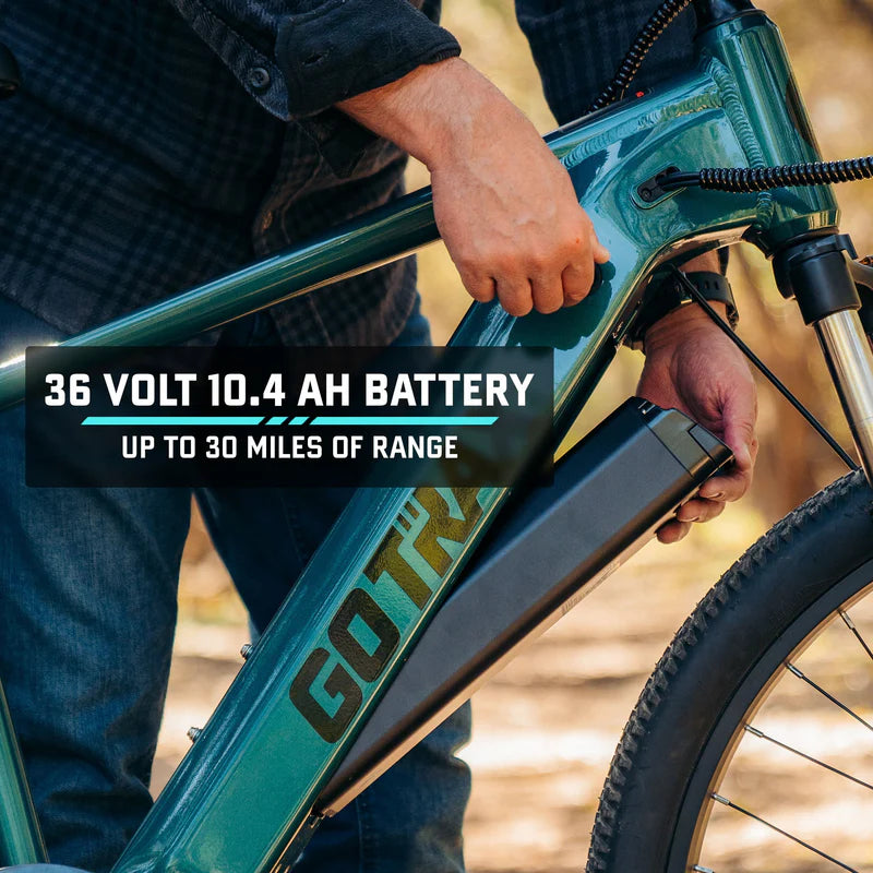 D1RT Electric Mountain Bike