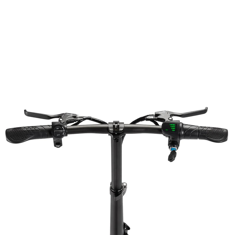 EBE1 Electric Bike