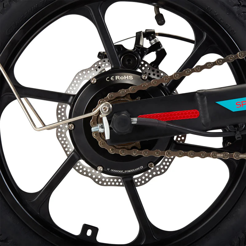 EBE1 Electric Bike