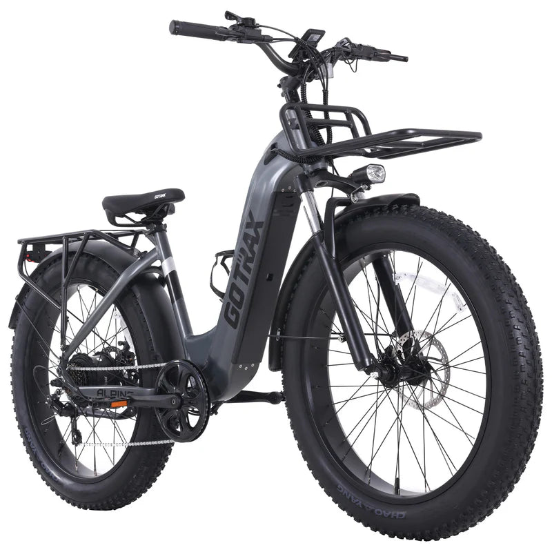 Alpine Fat Tire eBike