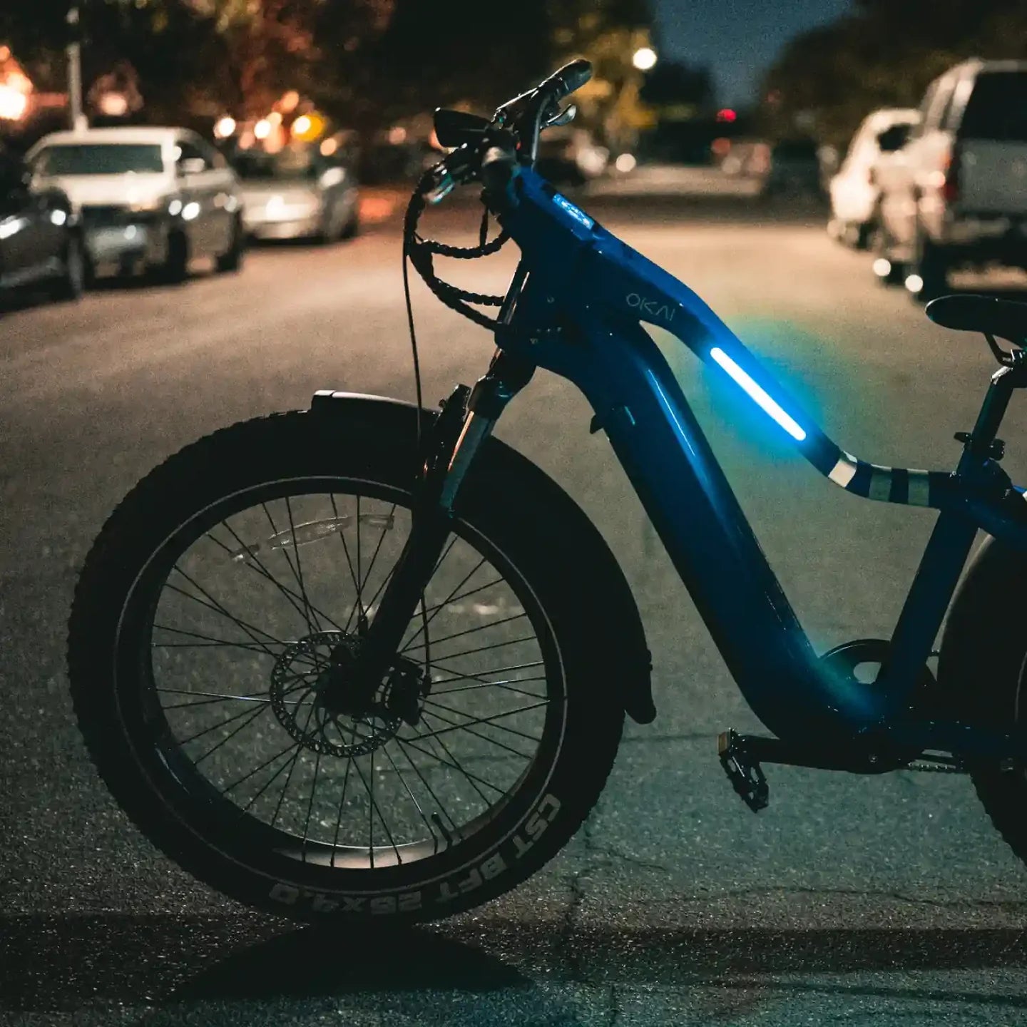 Ranger EB50 eBike