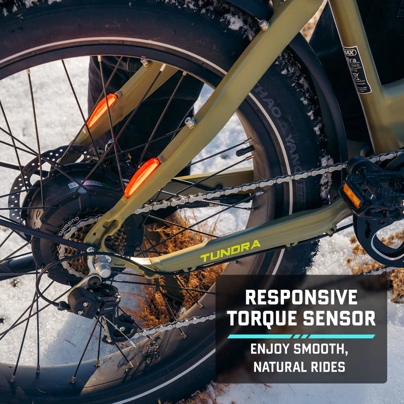 Tundra Fat Tire Electric Bike