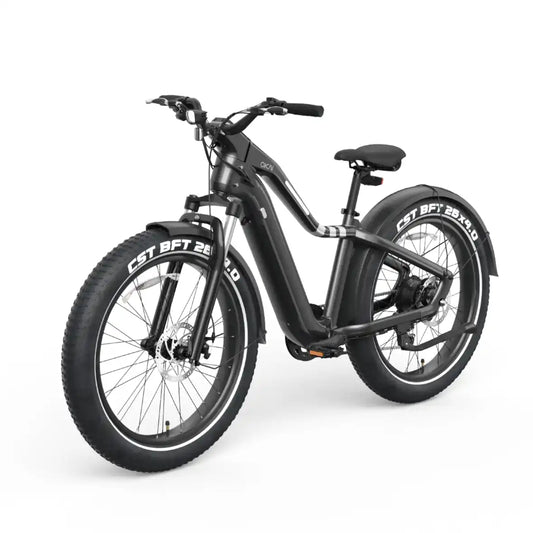 Ranger EB50 eBike