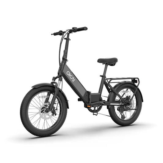 FlexMov EBF10 Folding eBike