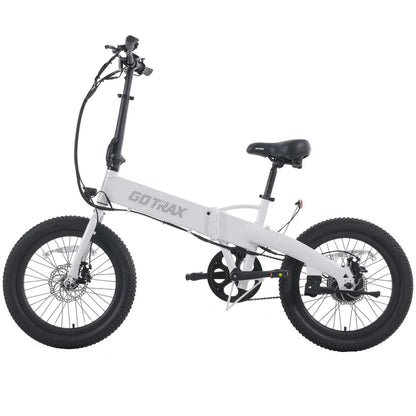 F1 Folding Electric Bike 2.0