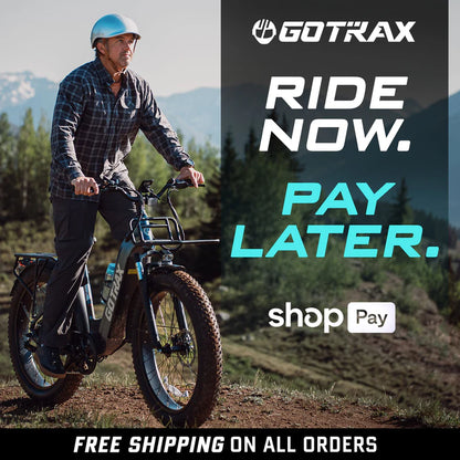 Alpine Fat Tire eBike