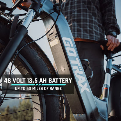 Alpine Fat Tire eBike