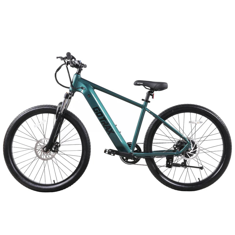 D1RT Electric Mountain Bike