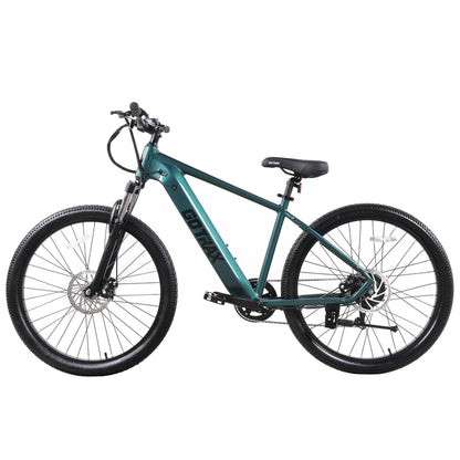 D1RT Electric Mountain Bike