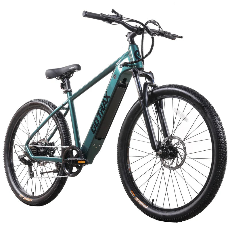 D1RT Electric Mountain Bike