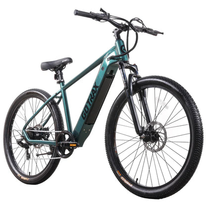 D1RT Electric Mountain Bike