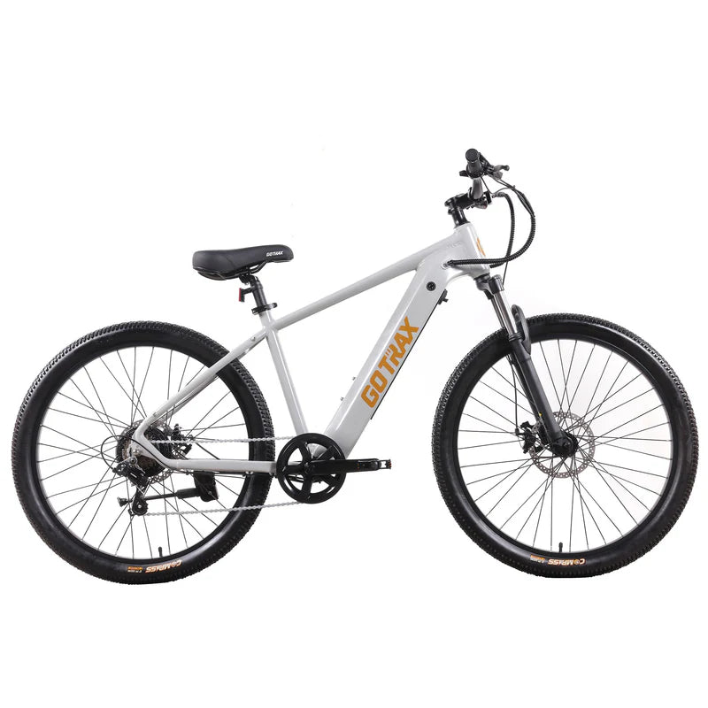 D1RT Electric Mountain Bike