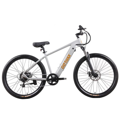 D1RT Electric Mountain Bike