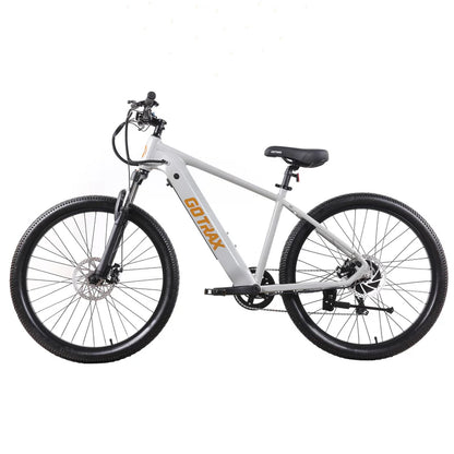 D1RT Electric Mountain Bike