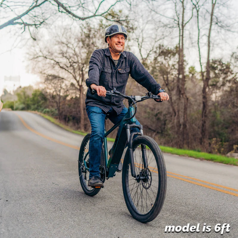 D1RT Electric Mountain Bike