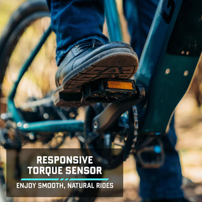 D1RT Electric Mountain Bike