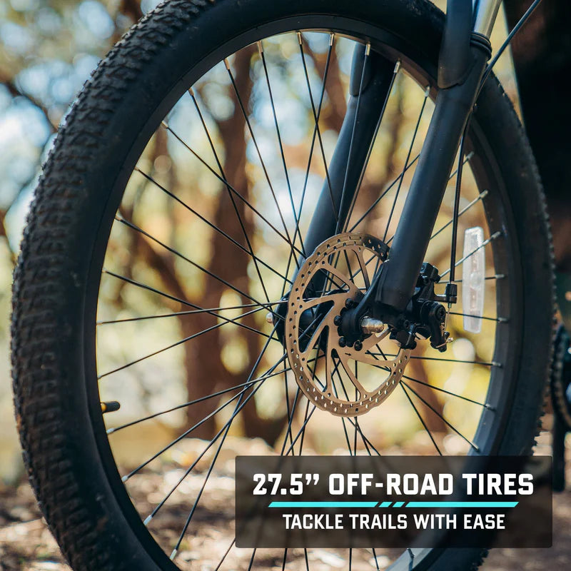 D1RT Electric Mountain Bike