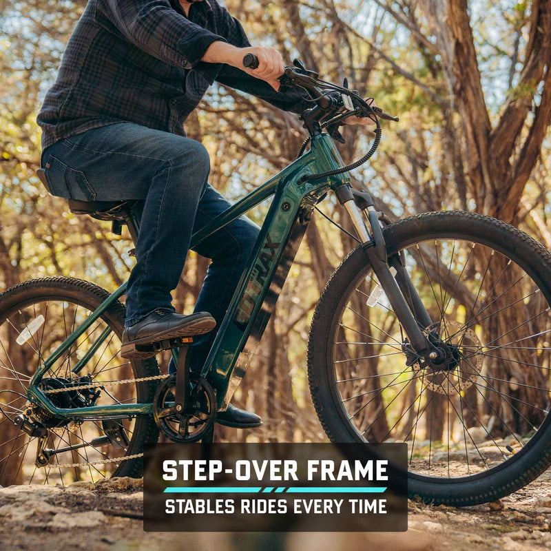 D1RT Electric Mountain Bike