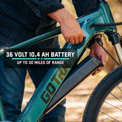 D1RT Electric Mountain Bike