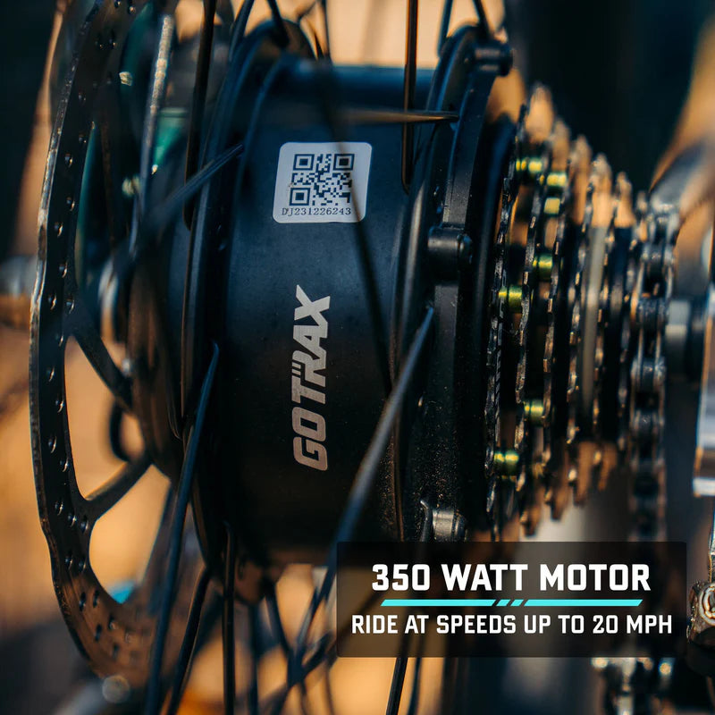 D1RT Electric Mountain Bike