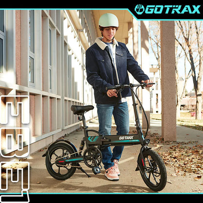 EBE1 Electric Bike