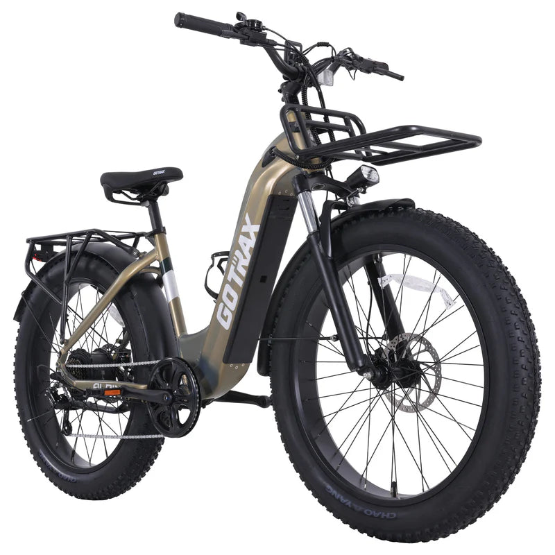 Alpine Fat Tire eBike