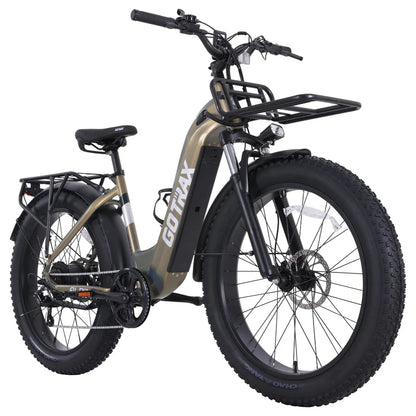 Alpine Fat Tire eBike