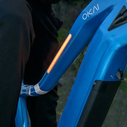 Ranger EB50 eBike